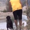 Hundetraining am See